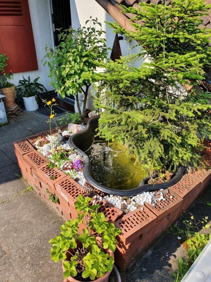 Bnb Haus Weibel Ландкварт Экстерьер фото